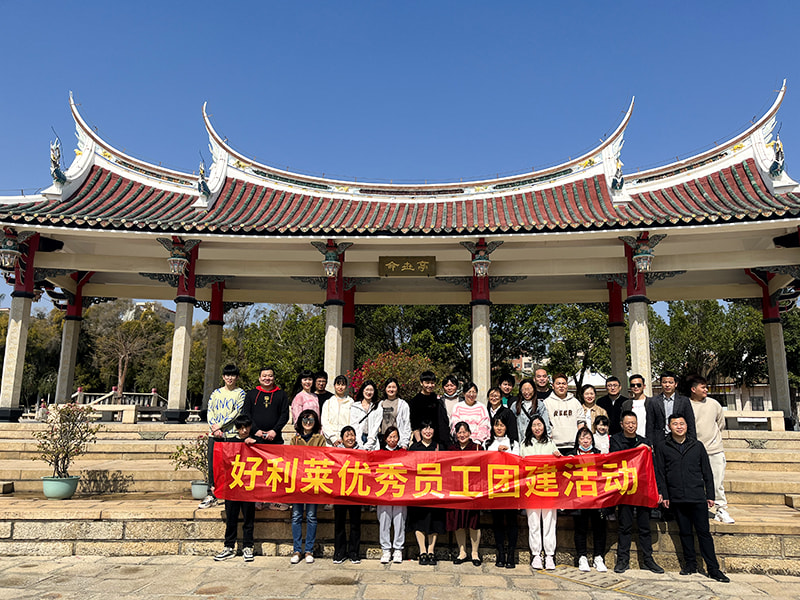 Changzhou Haolilai Photo-Electionity Scientific and Technical Co., Ltd.